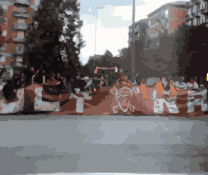 Flavio Tosi e Lorenzo Contucci – Riflessioni sulla tessera del tifoso