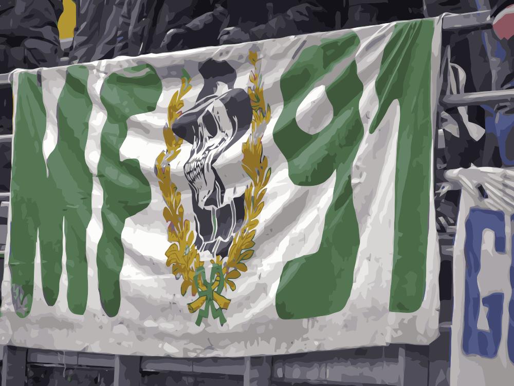 Brescia vs Cittadella 2012/2013: le prime&nbsp;foto